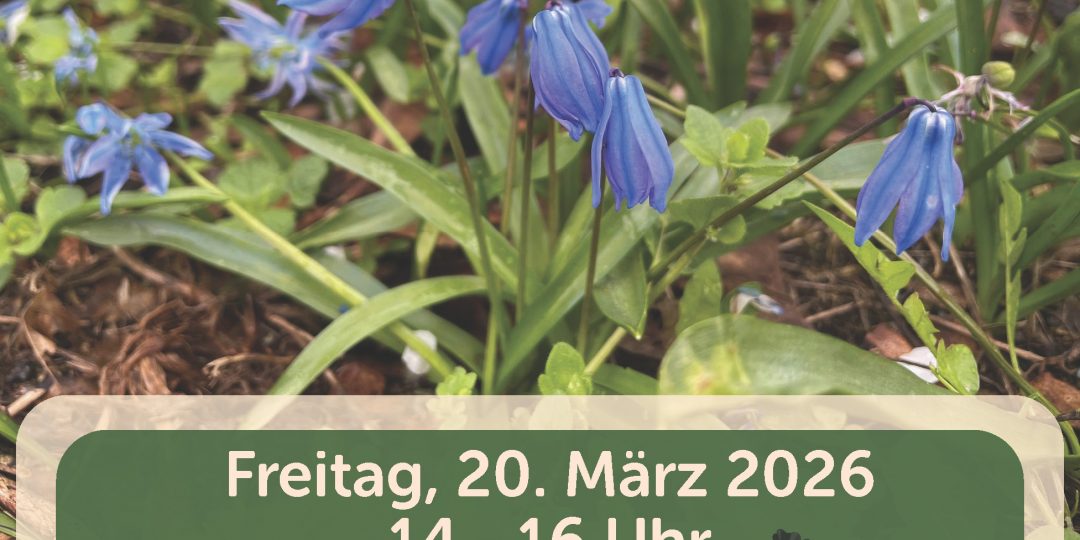 Einladung Schlaatzer Frühjahrsputz 2026